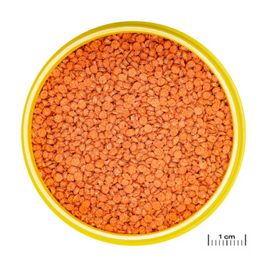 JBL PRONOVO BITS GRANO M 250 ml